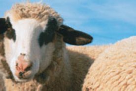 df8f9aba-e57c-11e1-b705-1231394043be-journal