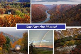 e00733de-c58e-11e7-a6eb-121bebc5777e-Collage