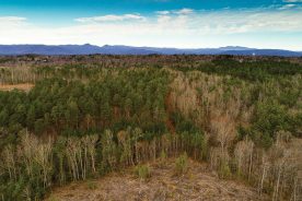 e04831a6-c610-11ea-a4e4-1244d5f7c7c6-CanoeCreek1_Courtesy-of-Foothills-Staff