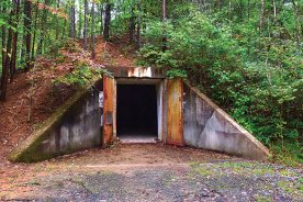 Trees have grown over many of the 1940s-era concrete bunkers at what is now Enterprise South Nature Park, near Chattanooga, Tennessee.