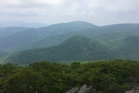 May 25: The view from Mt.Pleasant looking southwest.