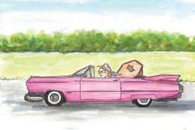 e113b54c-47fe-11ee-9b49-12163087a831-image0