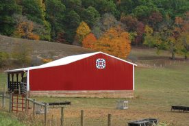 e2426ab8-5c1e-11eb-99df-1244d5f7c7c6-barn-quilt-fall