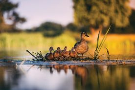 e2596008-9a94-11ee-a58a-12163087a831-AdobeStock_335111830