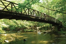 The footbridge spans the West Fork of the Little Pigeon River.