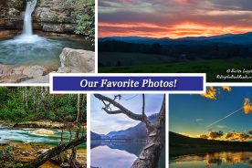 e41a95e8-206f-11e7-9c1d-0aea2a882f79-Collage