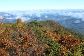 Devil's Courthouse on Blue Ridge Parkway