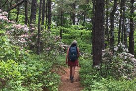 Gail makes her way up Brushy Mountain.