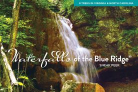 e7ace7ec-e96a-11eb-87e8-1244d5f7c7c6-Falls