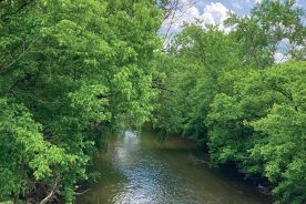 Tinker Creek, just upstream from its flow into the Roanoke.