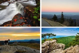 e896086a-7bed-11e4-86b9-22000a4f82a6-Collage