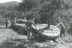 These Civilian Conservation Corps workers, circa 1940, loaded large trees into what would become Doughton Park, between mileposts 237 and 248.