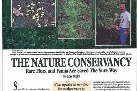 e917498e-3142-11e9-89ab-120e7ad5cf50-oldbrcpage