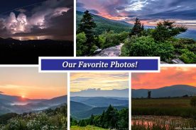 ea2fa4b2-54f7-11e6-963e-12955eaaf839-Collage_July29