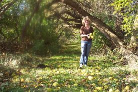 Gail pauses among osage oranges in Wye Island NRMA.