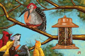 eb7dddce-d1f8-11e6-a57b-0aea2a882f79-Woodpecker