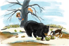 eb8a7a6a-a85a-11eb-abee-1244d5f7c7c6-3.21_Bear