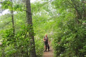 A girl and her dog along the Appalachian Trail.