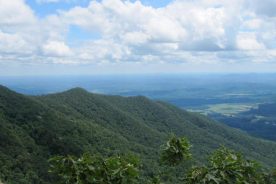 View is across the lower portion of the Three Ridges climb from the Tye River Valley.