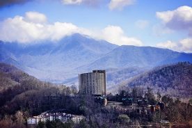 eee15dea-b848-11e4-857c-22000a4f82a6-BRC_Seeing_Southern_Garrison_07