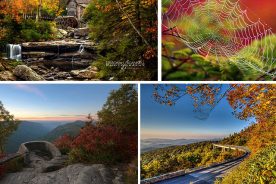 ef4170f8-4af8-11e4-814c-22000a4f82a6-Collage