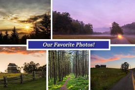 efcfb178-80f8-11e6-8555-0a161eac8f79-Sept_23_Collage