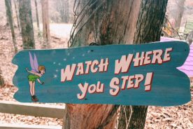 f030fc94-eaae-11e9-af94-12f1225286c6-IMG_4586