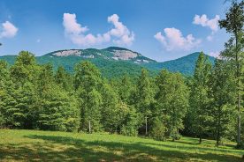 Table Rock State Park is a beautiful and major lure for Pickens County.