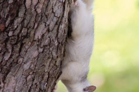 f2dc8f36-ac92-11ed-b846-12b3f1b64877-1_AdobeStock_48084262