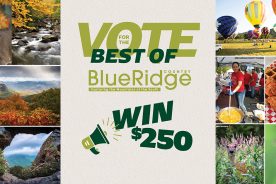 f3113a56-6ffc-11ed-b9aa-12b3f1b64877-BestofBRC_1200x628-_1_