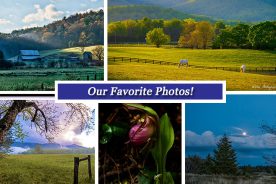 f32c8c6a-12ee-11e6-9ab2-22000b078648-Collage