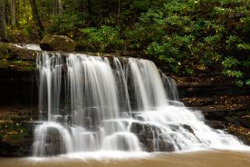 Laurel Falls