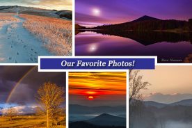 f447d326-e700-11e5-b90f-22000b078648-Collage