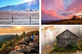 f57f61d0-74da-11e4-b261-22000a4f82a6-Collage