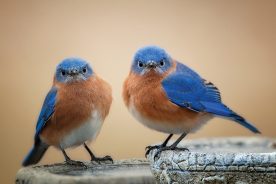 f63e98da-cf94-11ec-ad14-12274efc5439-AdobeStock_354103987