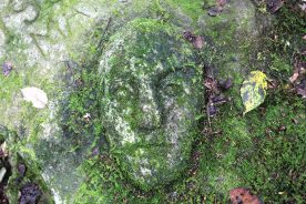 The mysterious carving is on National Park Service land near the New River Gorge.