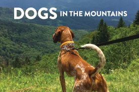 Carol Goznkar’s Willow was rescued from an East Tennessee shelter, and soon shared her owners’ love for the outdoors and the beautiful Blue Ridge Mountains.