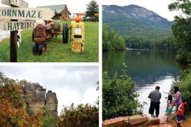 f69bef4c-8bf3-11e7-8d95-0a72cbefeab2-Fall-Magic