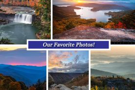 f793c1ec-9f76-11e5-8927-22000b078648-Collage