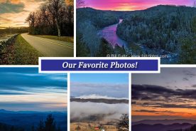 f7e0e954-ff88-11e6-bc01-0aea2a882f79-Collage