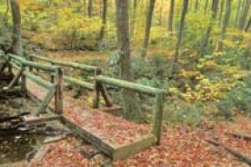 AUTUMN TRAIL. The bridge is along Hurricane Knob Trail in Virginia's Mt. Rogers National Recreation Area.