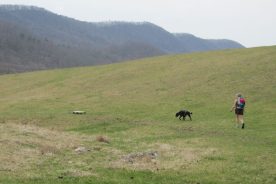 A leftover from a real, snowy winter?