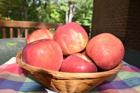 Jonathans are very attractive apples.