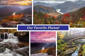 fb7febda-897a-11e5-b338-22000b078648-Collage