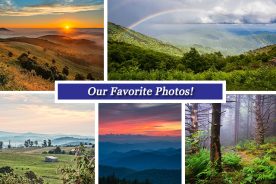 fc5142ac-41c2-11e5-89ac-22000b078648-Collage