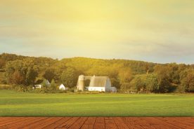 fce1d2ac-f251-11e3-b77a-22000a4f82a6-Farm_Large