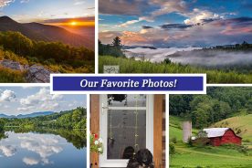 fd2c6e5a-4cf7-11e5-a450-22000b078648-Collage