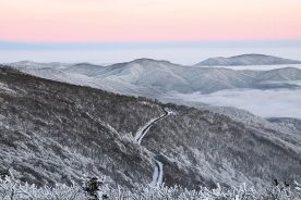 Roan Mountain, on the North Carolina/Tennessee border, presents a stark expanse in winter. From the photographer: “This is a place I hike and photograph multiple times a year, but there’s something extra magical about being up there in the bitter cold of winter, like you are standing in a real-life snow globe.”