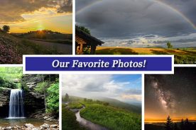 fdd6810e-1b67-11e5-8885-22000b078648-Collage