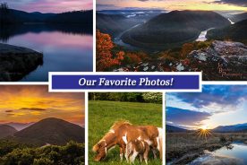 fee9f856-156f-11e7-8f01-0aea2a882f79-Collage